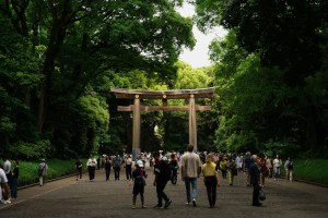 2026年誕生の注目資格・その6
